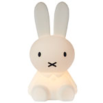 FIRST LIGHT MIFFY
(miffy and friends)