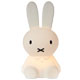 FIRST LIGHT MIFFY
(miffy and friends)