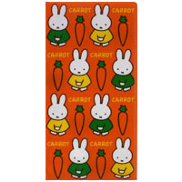 チケットホルダー
[BA20-19 red]
(miffy carrot)