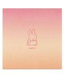 ツインメモパッド
[BM-288/miffy walk]
(COLORTONE)