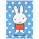 POST CARD
[No.376]
(polka dot miffy)